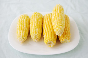 Ears of mature yellow corn on a white plate on a light background. Corn.