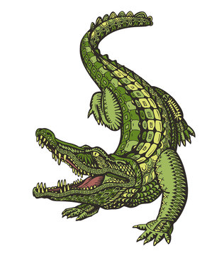 Crocodile or Alligator. Animal in ethnic style. Vector illustration  Stock-Vektorgrafik | Adobe Stock