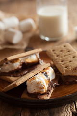 homemade marshmallow s'mores with chocolate on crackers