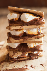 homemade marshmallow s'mores with chocolate on crackers