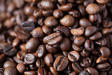 Closeup of coffee beans with focus on one