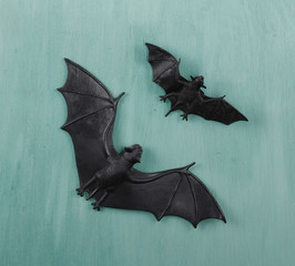 Fototapeta premium halloween, bats