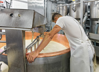 Cheese maker processing Comte Cheese in dairy of France, region Franche Comte