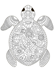 sea turtle coloring vector for adults