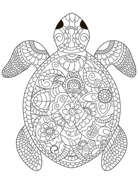 sea turtle coloring vector for adults