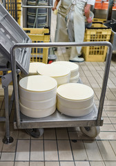 Comte Cheese in special forms in the dairy