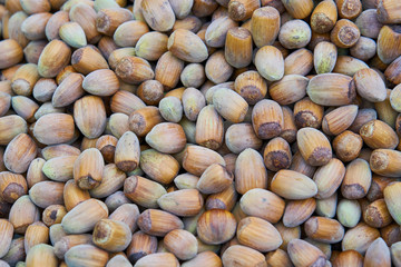 Hazel nuts background