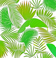 mix palm leaf tree background