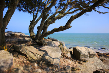 Noirmoutier