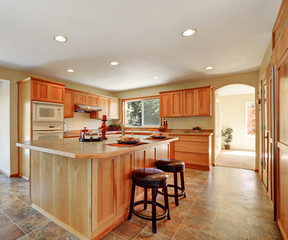 Kitchen interior with honey cabinets and built-in appliances