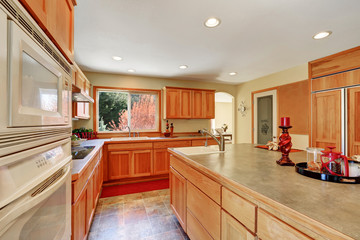 Kitchen interior with honey cabinets and built-in appliances