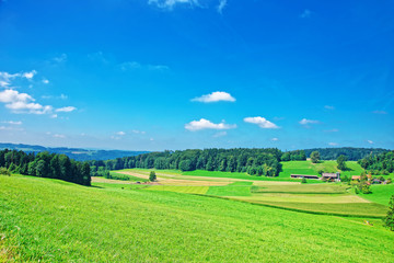 Nature in Turbenthal in Winterthur in Zurich canton of Switzerland