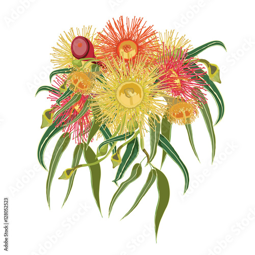 quot flowering gumtree wreath vector illustration quot im 225 genes quot flowering gumtree wreath vector illustration quot im 225 genes