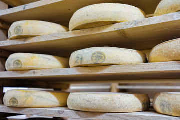 Fototapeta na wymiar Pile of aging Cheese in ripening cellar dairy Franche Comte