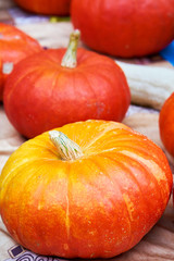 Ripe and sweet pumpkins background