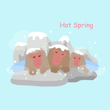 monkey with hot Spring