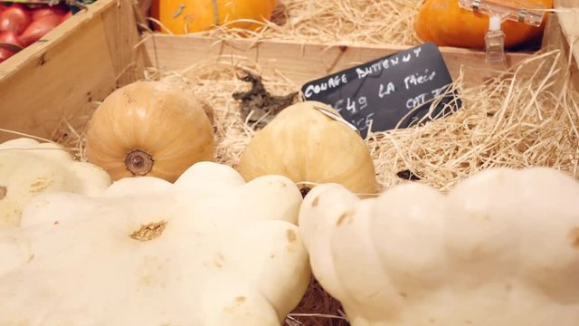 courges en 4k