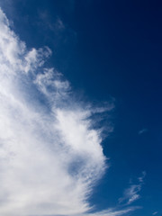 The Clear Clouds Look Like Sea Horse