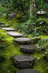 Step Stones in Nature