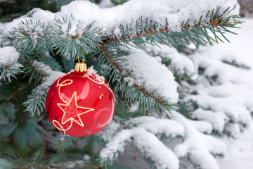 Fototapeta na wymiar Red bauble hangs from Christmas tree outdoors