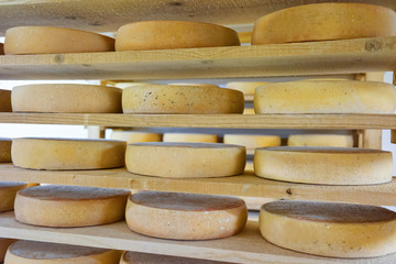 Stack of aging Cheese at ripening cellar dairy Franche Comte