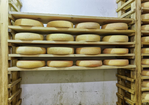 Stack of aging Cheese at maturing cellar Franche Comte dairy