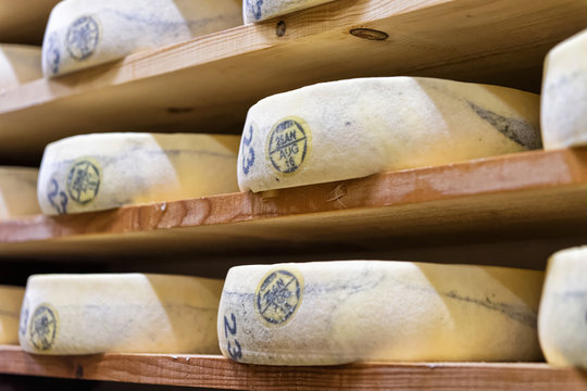 Stack of aging Cheese in maturing cellar Franche Comte creamery