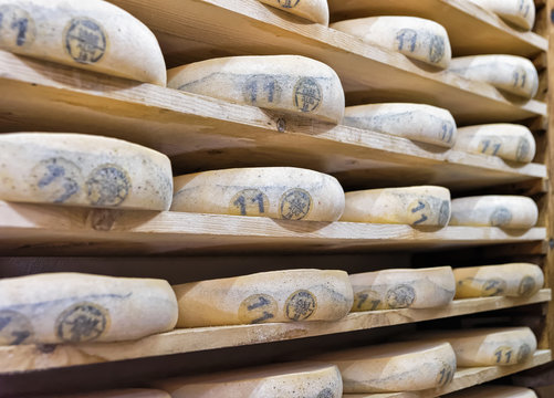 Stack of aging Cheese in maturing cellar Franche Comte