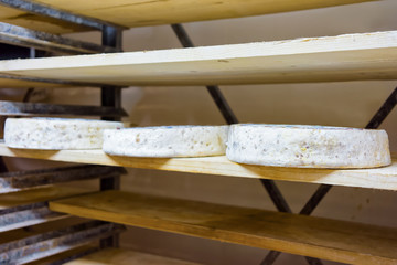 Fototapeta na wymiar Wheels of aging Cheese at maturing cellar Franche Comte