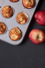 apple muffins on a black background