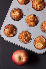 apple muffins on a black background