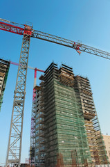 Two white and red hoisting cranes. Build a house