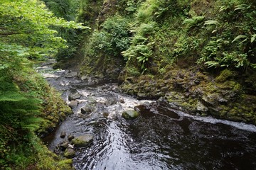 Wasserfall im Glenariff National Park / Nordirland 