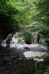 Wasserfall im Glenariff National Park / Nordirland 