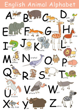 English Animal Alphabet from A to Z each starting point is associated with  an animal Stock Vector | Adobe Stock