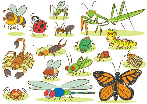 Insects animals kids drawings