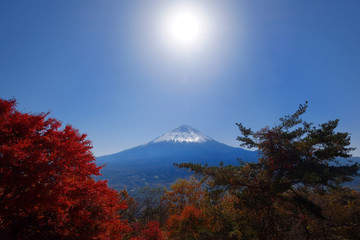 富士山と紅葉