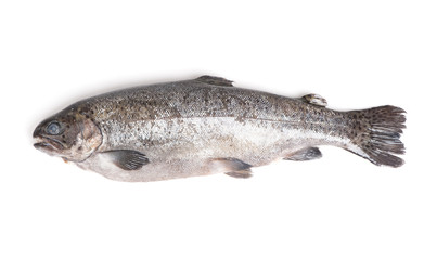 Gutted trout isolated