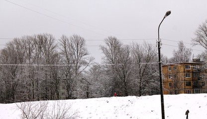 Snow landscape
