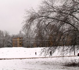 Snow landscape