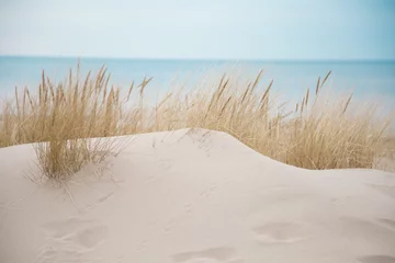  Beautiful white sand dunes at the sea beach © dachux21