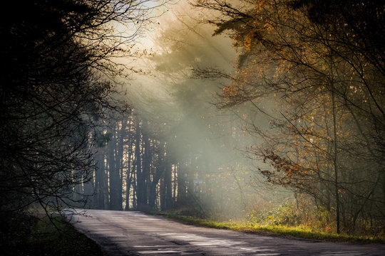 mountain roads collection