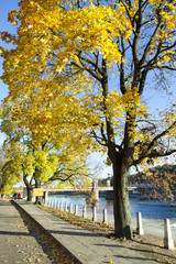 Fototapeta na wymiar Embankment Autumn Colors