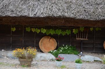 Japanese tradition,Japanese culture,shirakawa.