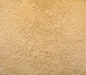 pore mushroom abstraction