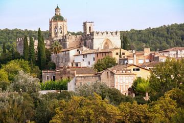 Fototapeta na wymiar Vue panoramique du Monastère royal de Santes Creus, Catalogne, Espagne