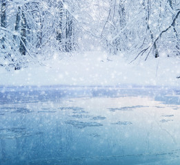winter forest landscape - snoe covered trees and lake shore