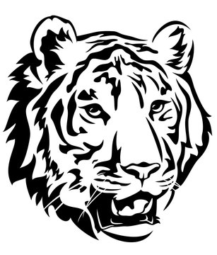 tiger head black and white vector design