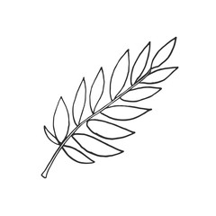 branch with leaves vector scetch © fiodarpiatrykin