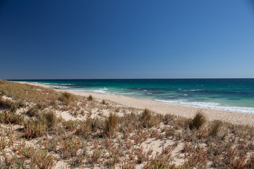 sanddunes with grass in front of whithe beach and clear ocean under blue sky